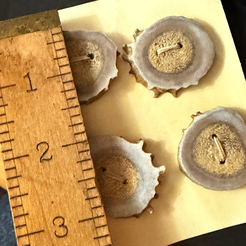 Wildlife Creations Kevin Juby Antler Buttons Set of 4 Handmade Casper Wyoming - Picture 3 of 4